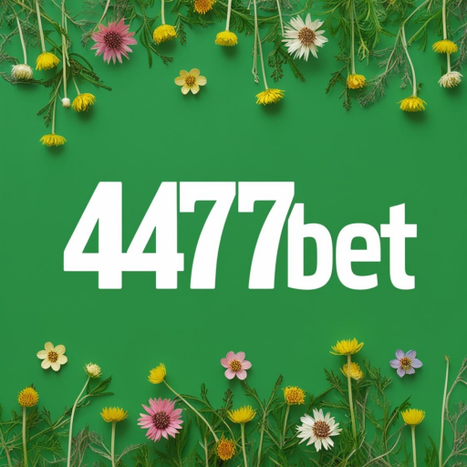 4477bet